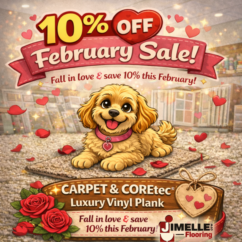 Jimelle Flooring Ruby February Comic