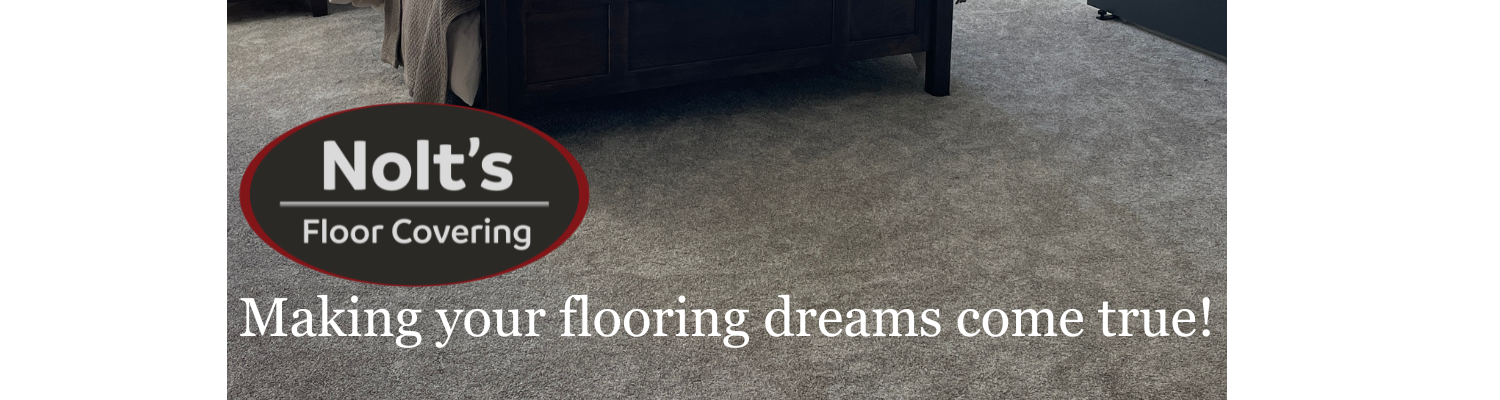 Stylish Carpet flooring on Stairs