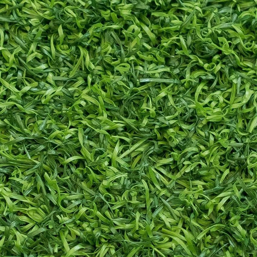 Artificial Grass